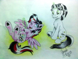 Size: 2048x1536 | Tagged: safe, artist:janadashie, oc, oc only, oc:artstar, pony, traditional art