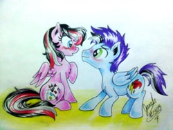 Size: 2048x1536 | Tagged: safe, artist:janadashie, oc, oc only, oc:artstar, pony, traditional art