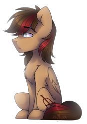 Size: 1024x1466 | Tagged: safe, artist:starlyflygallery, oc, oc only, pegasus, pony, male, simple background, sitting, solo, stallion, transparent background