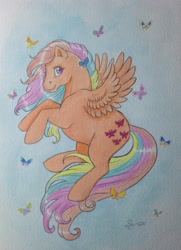 Size: 2281x3153 | Tagged: safe, artist:whippetluvpony, flutterbye, g1, commission, rainbow ponies, solo, traditional art