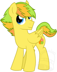 Size: 550x700 | Tagged: safe, artist:tambelon, oc, oc only, oc:citrus twist, pegasus, pony, male, solo, stallion, watermark