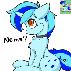 Size: 2000x2000 | Tagged: safe, artist:billysan727, oc, oc only, oc:hoers, pony, unicorn, chest fluff, collar, cute, fluffy, noms, pony town, solo