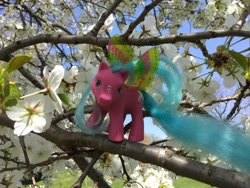 Size: 3264x2448 | Tagged: safe, artist:karredroses, sky dancer, g1, flower, irl, photo, solo, summer wing ponies, toy, tree