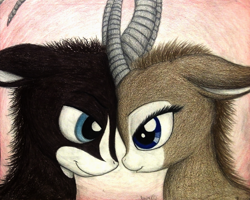 Size: 1340x1072 | Tagged: safe, artist:thefriendlyelephant, oc, oc only, oc:sabe, oc:uganda, antelope, giant sable antelope, animal in mlp form, cute, face to face, horns, lidded eyes, love, traditional art, valentine's day