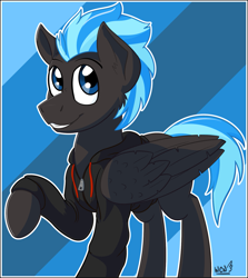 Size: 1491x1671 | Tagged: safe, artist:wcnimbus, oc, oc only, oc:nimbus, pegasus, pony, abstract background, clothes, hoodie, male, smiling, solo, stallion