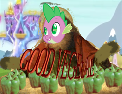 Size: 700x544 | Tagged: safe, artist:mlpfimguy, artist:p0p218, spike, dragon, 1000 hours in gimp, castle, gimp, good, twilight's castle, wat