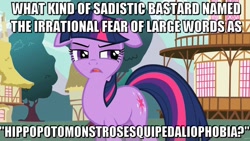 Size: 1280x720 | Tagged: safe, edit, edited screencap, screencap, twilight sparkle, floppy ears, hippopotomonstrosesquippedaliophobia, image macro, meme, misspelling, obligatory pony, solo, vulgar