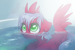 Size: 1024x683 | Tagged: safe, artist:starlyflygallery, oc, oc only, oc:melon frost, pegasus, pony, bath, chest fluff, cute, female, floppy ears, mare, solo, water, wet mane