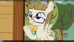 Size: 1920x1080 | Tagged: safe, screencap, zippoorwhill, pegasus, pony, forever filly, female, filly, foal, solo