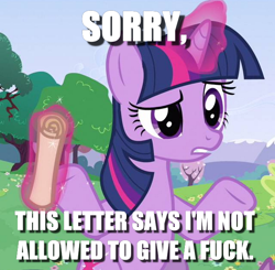 Size: 640x628 | Tagged: safe, edit, edited screencap, screencap, twilight sparkle, a canterlot wedding, image macro, levitation, magic, meme, no fucks, shrug, solo, telekinesis, vulgar