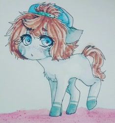 Size: 1024x1094 | Tagged: safe, artist:shiromidorii, oc, oc only, oc:aiden, earth pony, pony, backwards ballcap, baseball cap, cap, colt, hat, male, solo, traditional art, watercolor painting