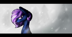 Size: 4900x2500 | Tagged: safe, artist:isorrayi, oc, oc only, earth pony, pony, absurd resolution, bust, female, mare, portrait, snow, solo