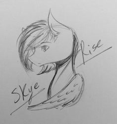 Size: 282x299 | Tagged: safe, oc, oc only, oc:skye rise, pegasus, pony, solo, traditional art