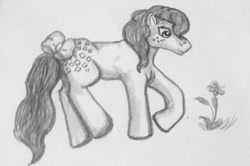 Size: 1000x662 | Tagged: safe, artist:alicornmoonstar, cotton candy (g1), earth pony, pony, g1, bow, flower, grayscale, monochrome, solo, traditional art