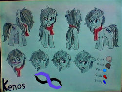 Size: 640x480 | Tagged: safe, artist:kenos, oc, oc only, oc:kenos, earth pony, pony, reference sheet, solo, traditional art
