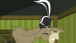 Size: 1280x720 | Tagged: safe, screencap, cranky doodle donkey, donkey, skunk, 28 pranks later, about to blow, angry, animal, eyes closed, female, male, prank, raised tail, tail