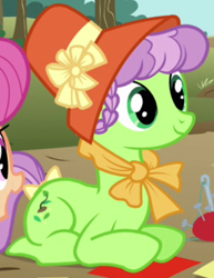 Size: 259x336 | Tagged: safe, screencap, auntie applesauce, earth pony, pony, apple family reunion, apple family member, background pony, cropped, female, mare, prone, solo, solo focus, younger