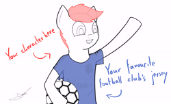 Size: 5760x3511 | Tagged: safe, oc, oc only, absurd resolution, advertisement, commission, football, solo, your character here