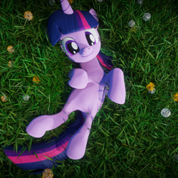 Size: 900x900 | Tagged: safe, artist:galawaille, twilight sparkle, twilight sparkle (alicorn), alicorn, pony, 3d, bellyrub request, blender, cute, dandelion, female, grass, imminent belly rub, looking at you, mare, on back, smiling, solo, twiabetes