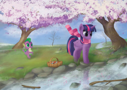 Size: 3508x2480 | Tagged: safe, artist:yunnecora, spike, twilight sparkle, twilight sparkle (alicorn), alicorn, dragon, pony, cherry blossoms, clothes, flower, flower blossom, scarf