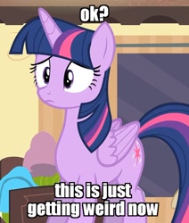 Size: 879x1039 | Tagged: safe, edit, edited screencap, screencap, twilight sparkle, twilight sparkle (alicorn), alicorn, pony, rarity takes manehattan, confused, female, frown, image macro, mare, meme, reaction image, solo, wide eyes, worried