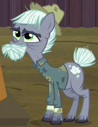 Size: 390x505 | Tagged: safe, screencap, dusty mccolt, earth pony, pony, the hooffields and mccolts, cropped, mccolt family, solo