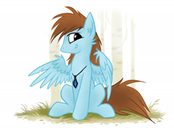 Size: 2200x1664 | Tagged: safe, artist:kejifox, oc, oc only, oc:sorren, pegasus, pony, cute, grass, grin, jewelry, looking at you, necklace, pose, simple background, sitting, smiling, solo, wings
