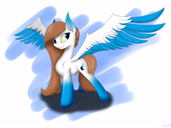 Size: 4000x3000 | Tagged: safe, artist:kirasunnight, oc, oc only, pegasus, pony, female, mare, simple background, solo, spread wings, white background