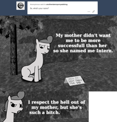 Size: 2503x2595 | Tagged: safe, artist:thepristineeye, oc, oc only, oc:intern, earth pony, pony, 3d, anotherdamnponyaskblog, blender, comic, dialogue, grass, monochrome, sad, sign, sitting, text, tree, tumblr, vulgar