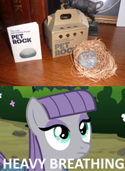 Size: 1024x1400 | Tagged: safe, maud pie, heavy breathing, maud pie may or may not be amused, maud pie may or may not be aroused, obligatory pony, pet rock, rock, solo