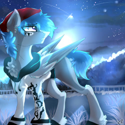Size: 2000x2000 | Tagged: safe, artist:zaphyray, oc, oc only, pegasus, pony, clothes, high res, hoodie, male, moon, night, solo, stallion