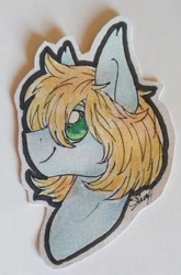 Size: 2443x3711 | Tagged: safe, artist:cloud-drawings, oc, oc only, oc:shiro, pony, gift art, male, signature, simple background, smiling, solo, stallion, traditional art