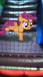 Size: 1440x2560 | Tagged: safe, artist:90sigma, artist:tokkazutara1164, scootaloo, pegasus, pony, female, filly, irl, net, photo, playing, ponies in real life, smiling, solo, tunnel, vector