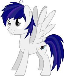 Size: 4153x4925 | Tagged: safe, artist:livehotsun, oc, oc only, oc:hotsun, pegasus, pony, absurd resolution, cutie mark, male, simple background, solo, stallion, transparent background, vector