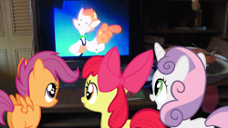 Size: 1696x954 | Tagged: safe, apple bloom, scootaloo, sweetie belle, cats don't dance, cutie mark crusaders, television