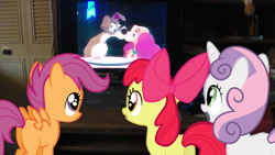 Size: 1696x954 | Tagged: safe, apple bloom, scootaloo, sweetie belle, cutie mark crusaders, lady and the tramp, meme, television