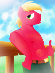 Size: 1200x1600 | Tagged: safe, artist:timidwithapen, big macintosh, anthro, bare chest, clothes, lens flare, male, partial nudity, solo, stupid sexy big macintosh, thumbs up, topless