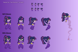 Size: 818x551 | Tagged: safe, artist:verve, sci-twi, twilight sparkle, equestria girls, ain't never had friends like us, bottle, erlenmeyer flask, genie, glasses, jewelry, pixel art, reference sheet, shantae