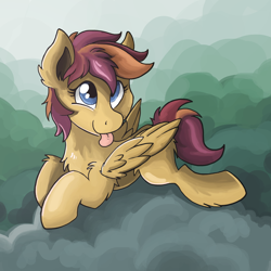 Size: 900x900 | Tagged: safe, artist:saxopi, oc, oc only, oc:swift cuddles, pegasus, pony, solo, tongue out