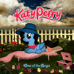 Size: 1000x1000 | Tagged: safe, artist:aldobronyjdc, album, album cover, chair, cover, fence, flower, hat, katy perry, katy pony, lawn chair, one of the boys, parody, ponified, ponified album cover, ponified celebrity, sitting, solo