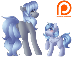 Size: 1024x806 | Tagged: safe, artist:rue-willings, oc, oc only, oc:bubblepop, oc:rue, earth pony, pegasus, pony, duo, patreon, patreon logo, simple background, transparent background