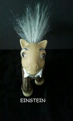 Size: 576x960 | Tagged: safe, artist:dannabats, pony, g3, albert einstein, comic sans, custom, irl, photo, ponified, solo, toy