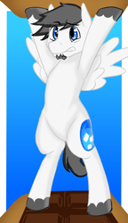 Size: 786x1366 | Tagged: safe, oc, oc only, oc:marshmallow fluffbutt, pegasus, pony, beard, chocolate, crackers, facial hair, food, irony, male, s'mores, solo, stallion, struggle, worried