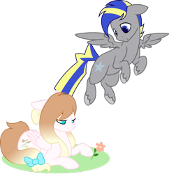 Size: 1024x1056 | Tagged: safe, artist:kevinerino, oc, oc only, oc:angelic shield, oc:silverstar, pegasus, pony, bow, female, flower, flying, male, mare, prone, stallion, tail bow