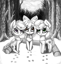 Size: 950x1000 | Tagged: safe, artist:limchph2, apple bloom, scootaloo, sweetie belle, black and white, campfire, cutie mark crusaders, forest, grayscale, monochrome, snow