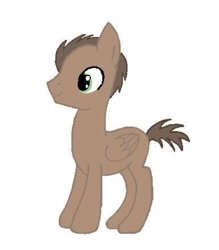 Size: 632x720 | Tagged: safe, artist:pizzamovies, oc, oc only, oc:blackburns, pegasus, pony, digital art, male, sketchbook, smiling, solo, standing