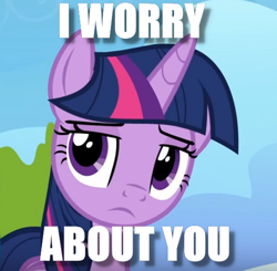 Size: 508x498 | Tagged: safe, edit, edited screencap, screencap, twilight sparkle, twilight sparkle (alicorn), alicorn, pony, frown, image macro, meme, solo, worried