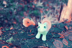 Size: 800x536 | Tagged: safe, artist:z1ar0, baby cuddles, pony, g1, baby, baby pony, irl, photo, solo, toy, watermark