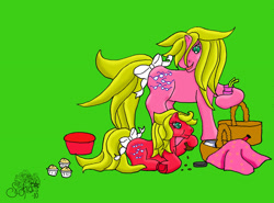 Size: 2594x1918 | Tagged: safe, artist:gwendelyn, baby shady, shady, pony, g1, baby, baby pony, basket, picnic basket