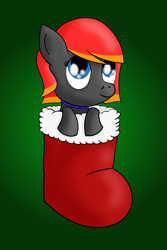 Size: 1200x1800 | Tagged: safe, artist:vitalspark, oc, oc only, oc:arian blaze, christmas, christmas stocking, collar, solo